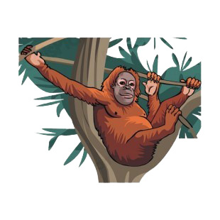 Baboon holding on to a branch  listed in more animals decals.