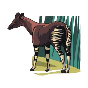 Baby zebra listed in more animals decals.