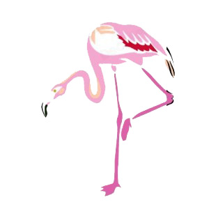 Flamingo standing on one leg listed in more animals decals.