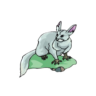 Grey chinchilla listed in more animals decals.