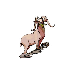 Mountain sheep with long horn eating grass listed in more animals decals.
