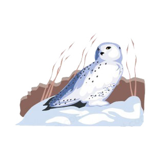Snowy owl standing on snow listed in more animals decals.