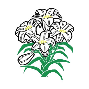 White easter lily listed in easter decals.