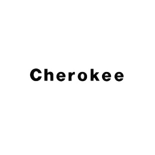 Jeep Cherokee listed in jeep decals.