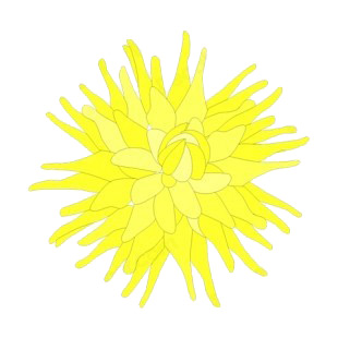 Yellow flower listed in flowers decals.