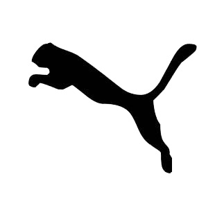 Puma logo listed in famous logos decals.