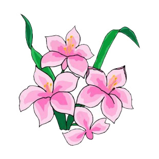 Pink hibiscus with leaves listed in flowers decals.