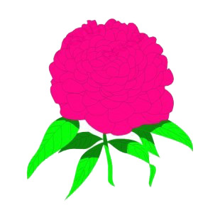 Pink peony with leaves listed in flowers decals.