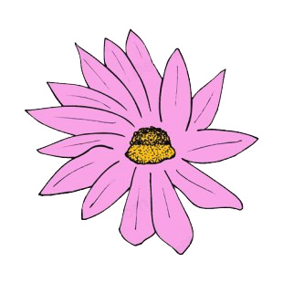 Pink daisy listed in flowers decals.