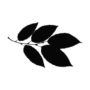 Elm leaves silhouette listed in plants decals.