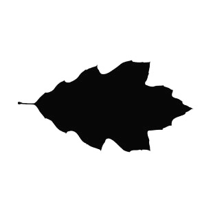  Tooth lobed leaf silhouette  listed in plants decals.
