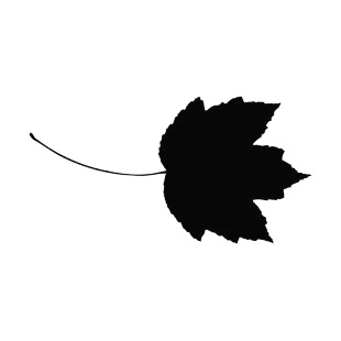 Toothed maple leaf silhouette listed in plants decals.