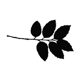 Toothed leaves on a twig silhouette listed in plants decals.