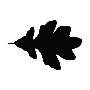 Elm leaf silhouette listed in plants decals.