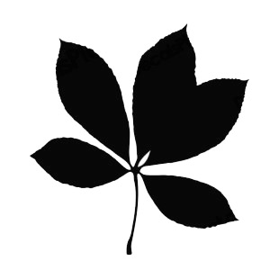 Toothed leaves silhouette listed in plants decals.
