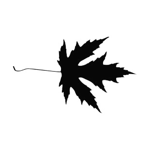 Toothed maple leaf silhouette listed in plants decals.