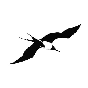 Seagul flying silhouette listed in birds decals.