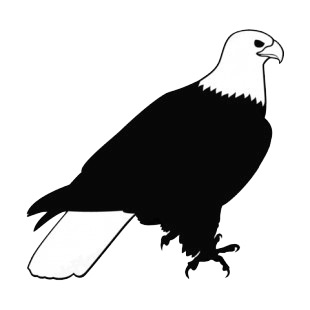 Bald eagle listed in birds decals.