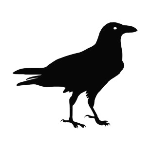 Crow listed in birds decals.