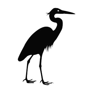 Crane bird listed in birds decals.