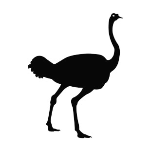 Ostrich listed in birds decals.