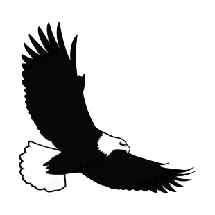 Bald eagle flying listed in birds decals.