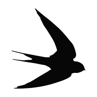 Magpie flying listed in birds decals.