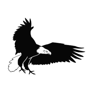 Bald eagle with wings wide open listed in birds decals.