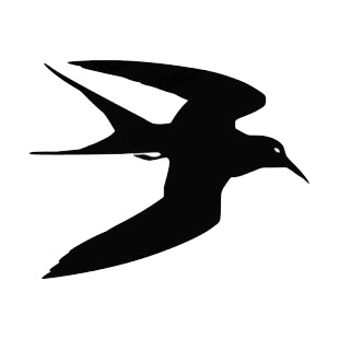 Magpie flying listed in birds decals.