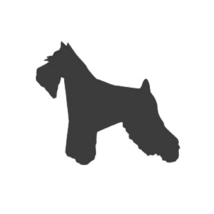 Miniature Schnauzer listed in dogs decals.