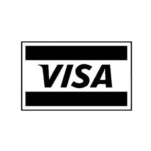 Visa logo listed in famous logos decals.