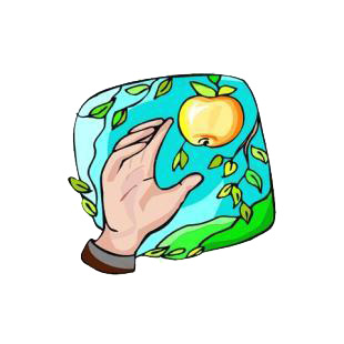 Hand picking up an apple from apple tree listed in agriculture decals.