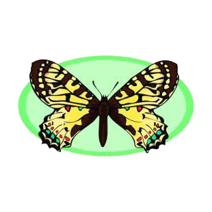 Yellow and brown butterfly listed in butterflies decals.