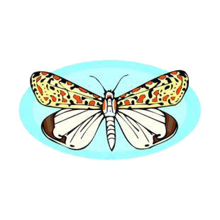 Multicolored butterfly listed in butterflies decals.