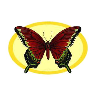 Red and green butterfly listed in butterflies decals.