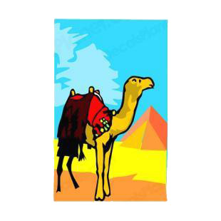 Camel next to the pyramids listed in camel decals.