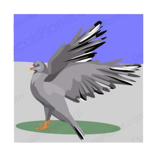 Grey dove listed in birds decals.