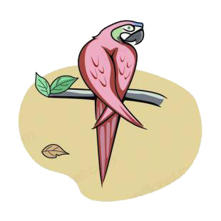 Pink parrot listed in birds decals.