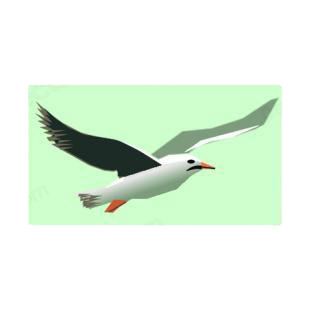 Flying seagull listed in birds decals.