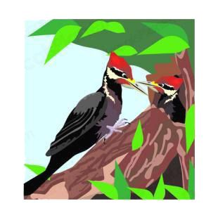 Woodpeckers listed in birds decals.