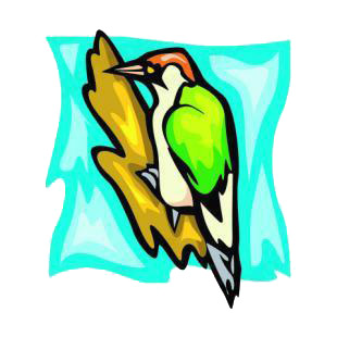 Woodpecker listed in birds decals.