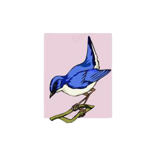 Blue nightingale listed in birds decals.