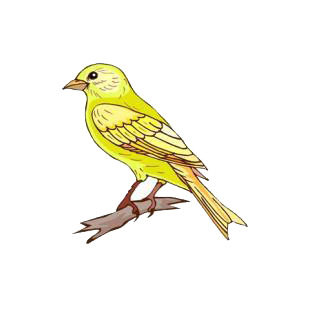 Canary bird listed in birds decals.