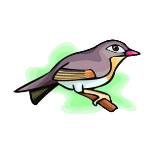 Chinese nightingale listed in birds decals.