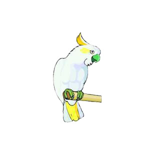 Cockatoo listed in birds decals.