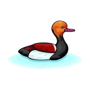 Swimming duck listed in birds decals.