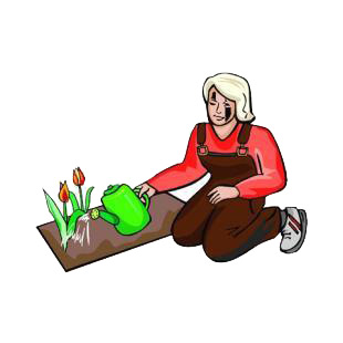 Woman gardener watering plant listed in agriculture decals.