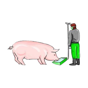 Pig feeding listed in agriculture decals.