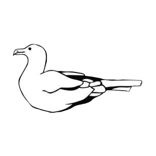 Seagull floating listed in birds decals.