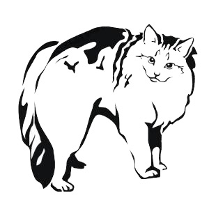 Cat listed in cats decals.